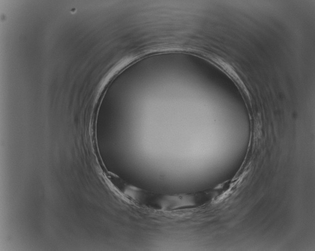 X0000062651197200601111143