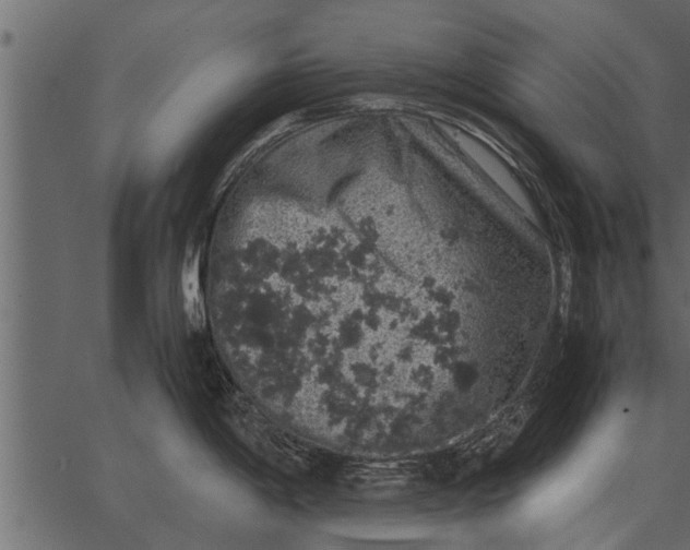 X0000062651198200601111143