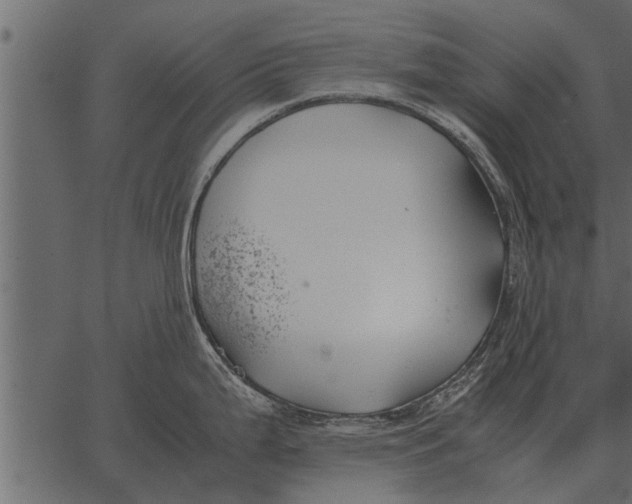 X0000062651199200601111143