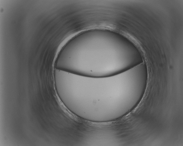 X0000062651200200601111143