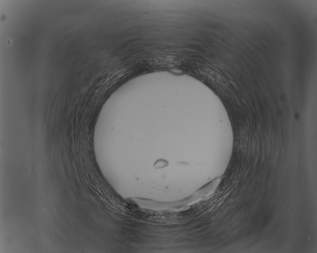 X0000062651201200601111143