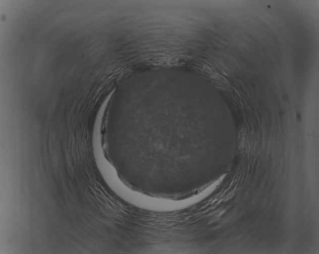 X0000062651202200601111143