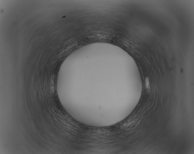 X0000062651203200601111143