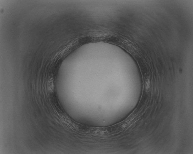 X0000062651204200601111143