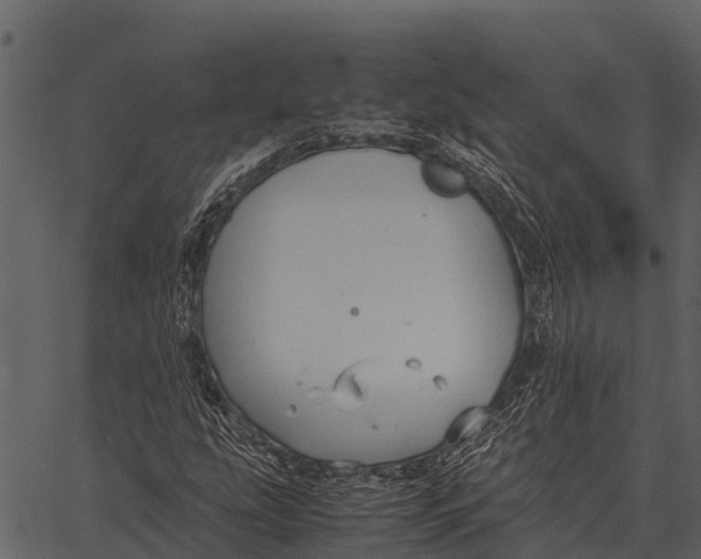 X0000062651207200601111143