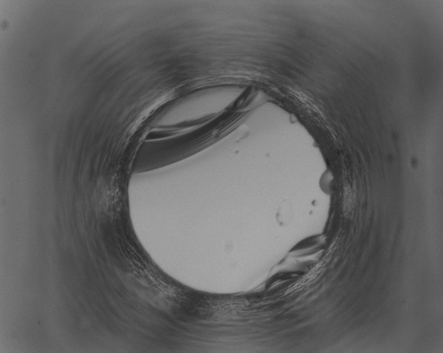 X0000062651210200601111143