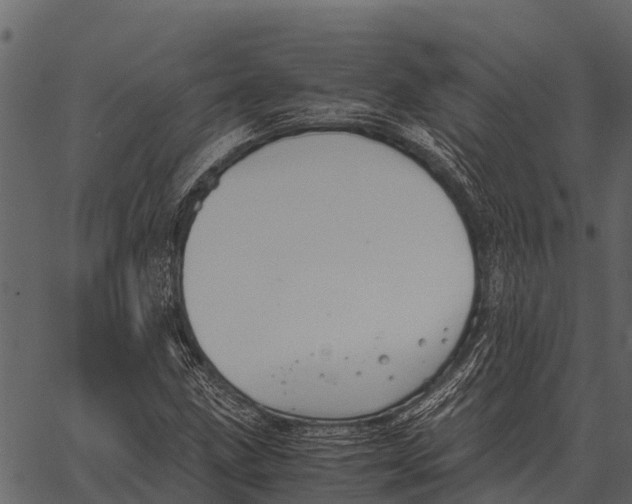 X0000062651211200601111143