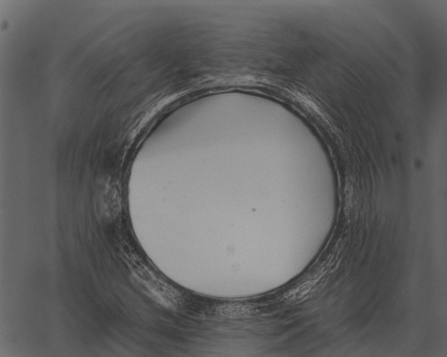 X0000062651212200601111143