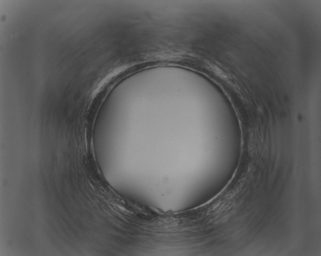 X0000062651214200601111143