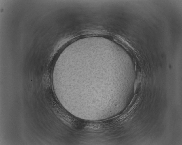 X0000062651215200601111143