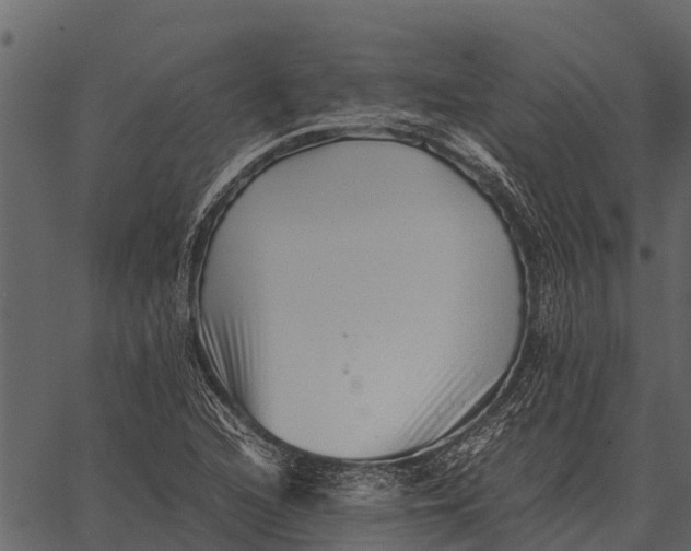 X0000062651216200601111143