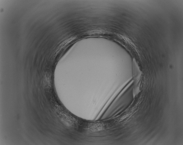 X0000062651217200601111143