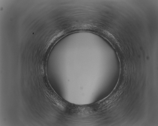 X0000062651218200601111143