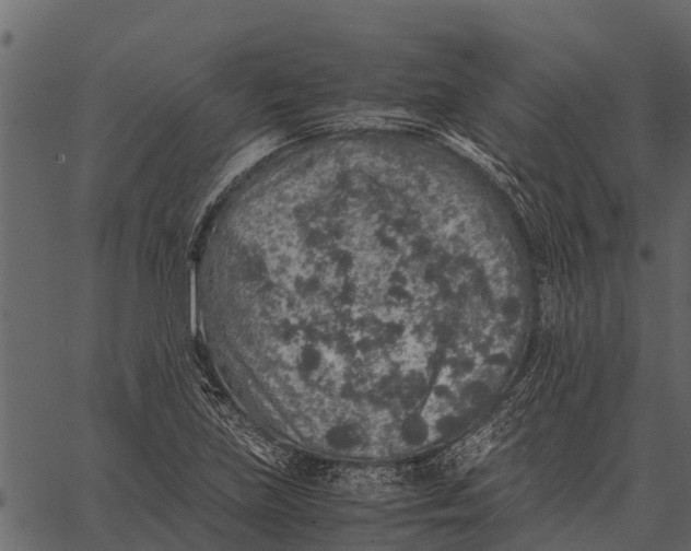 X0000062651219200601111143