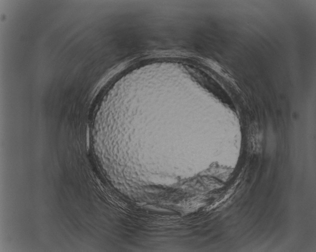 X0000062651221200601111143