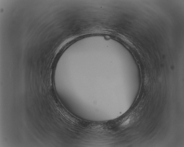 X0000062651222200601111143