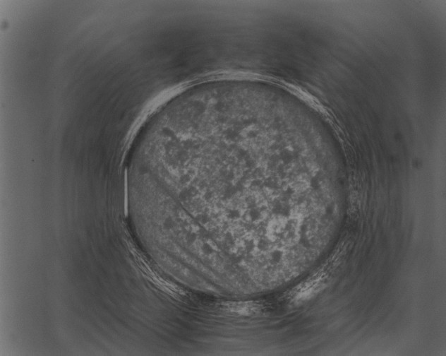 X0000062651223200601111143