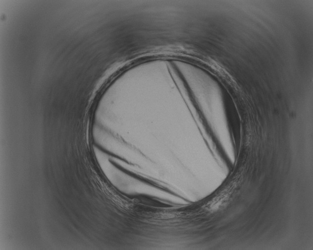 X0000062651224200601111143