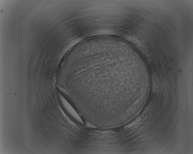 X0000062651225200601111143