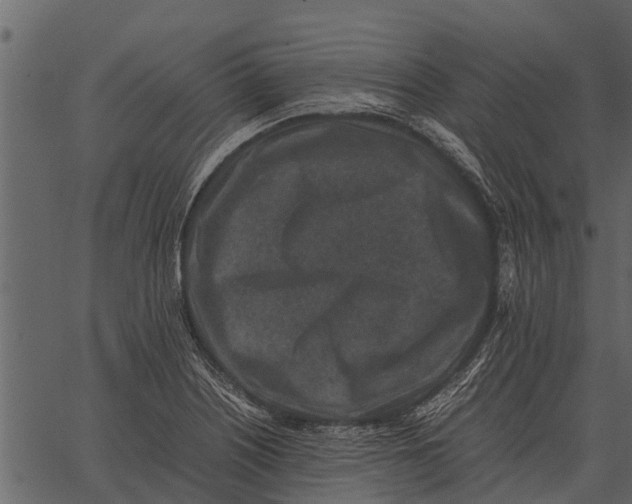 X0000062651226200601111143