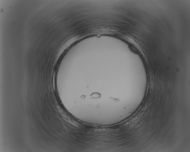 X0000062651227200601111143