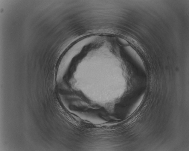 X0000062651228200601111143