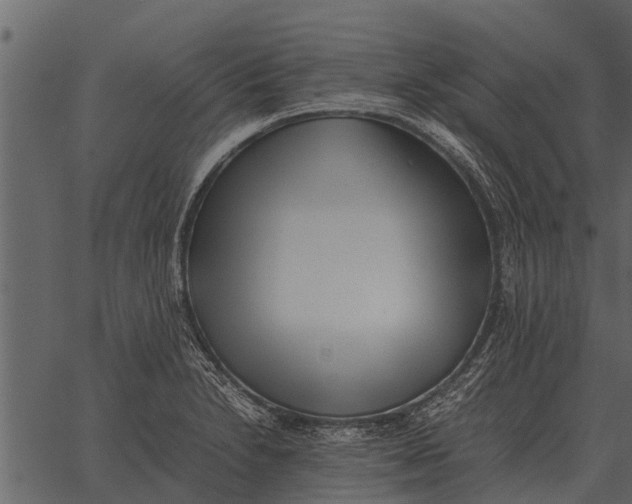 X0000062651230200601111143