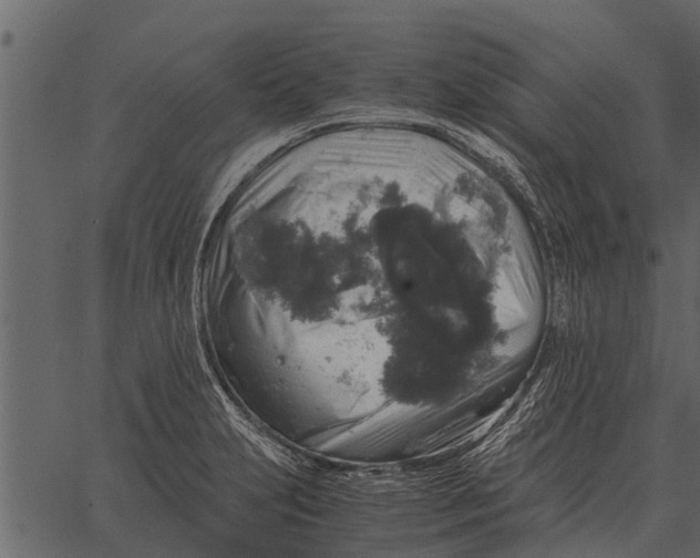 X0000062651231200601111143