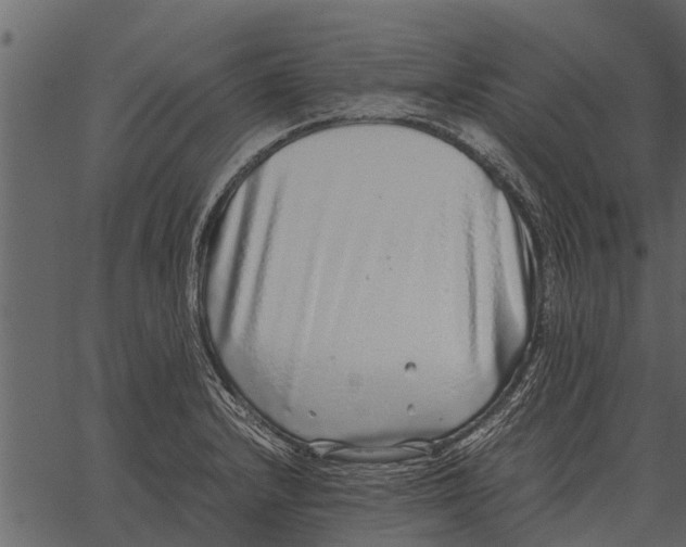 X0000062651232200601111143