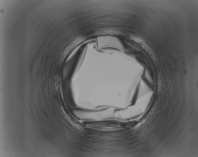 X0000062651233200601111143