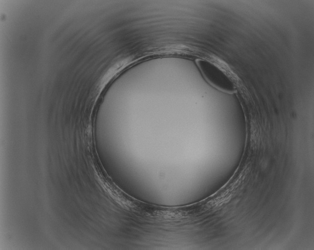 X0000062651234200601111143