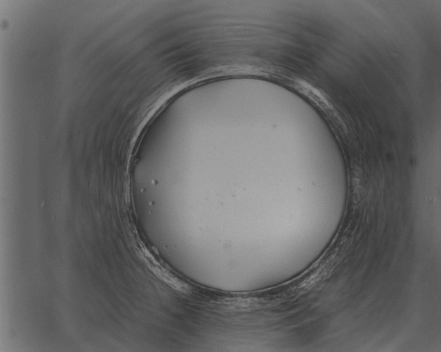 X0000062651236200601111143