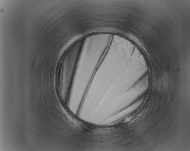 X0000062651237200601111143