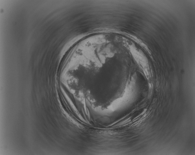 X0000062651239200601111143