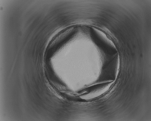 X0000062651240200601111143