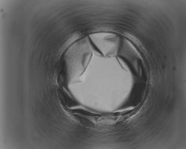 X0000062651241200601111143