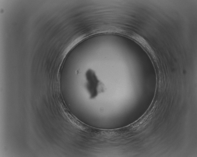 X0000062651242200601111143