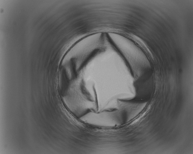 X0000062651244200601111143