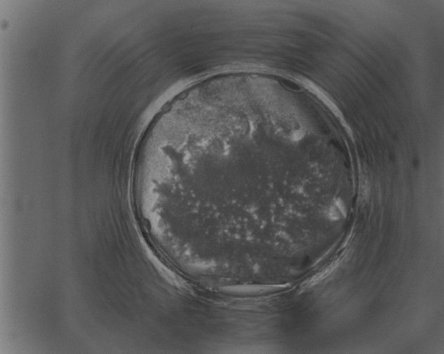 X0000062651245200601111143