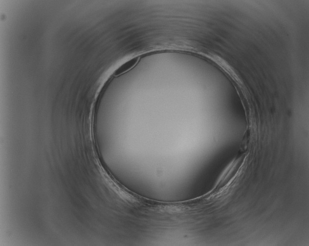 X0000062651246200601111143