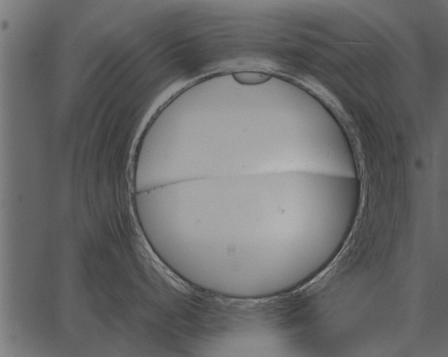 X0000062651248200601111143