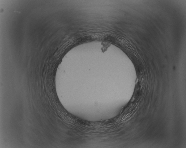 X0000062651249200601111143