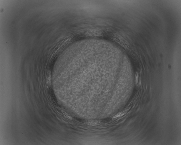 X0000062651251200601111143