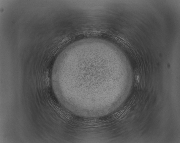 X0000062651252200601111143