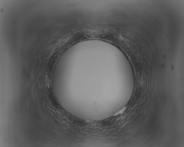 X0000062651253200601111143