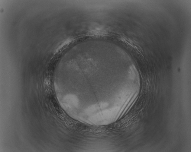 X0000062651254200601111143