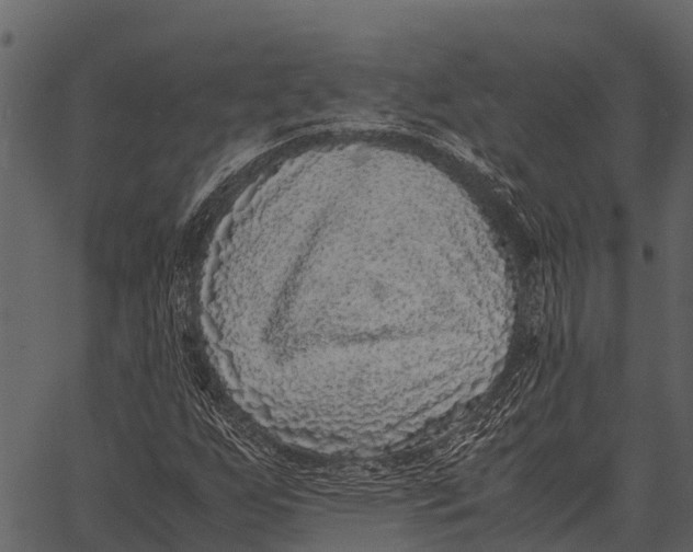 X0000062651255200601111142