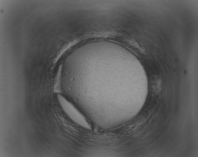 X0000062651256200601111142