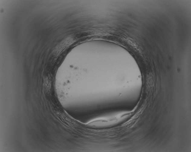 X0000062651257200601111142