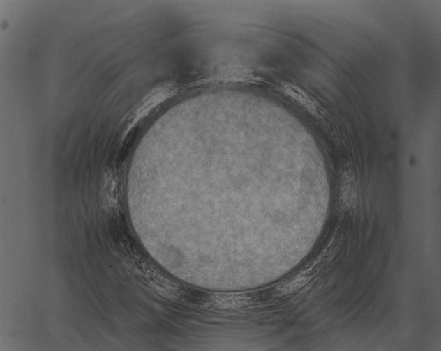 X0000062651258200601111142